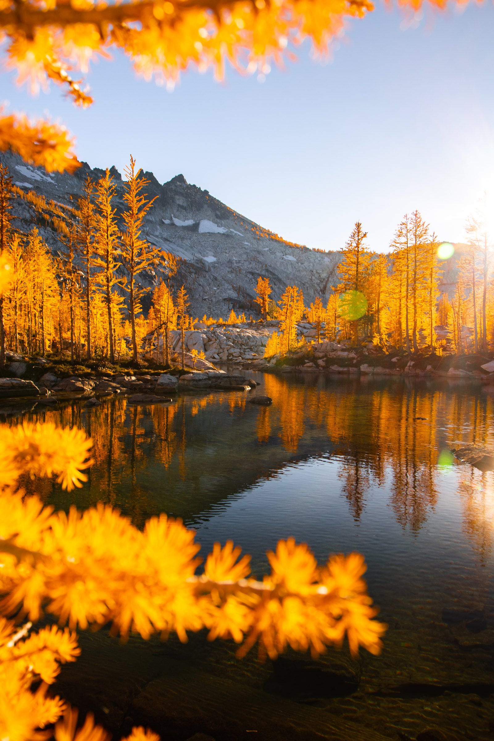 Golden larch branches framing a calm lake and peaks in the afternoon sun