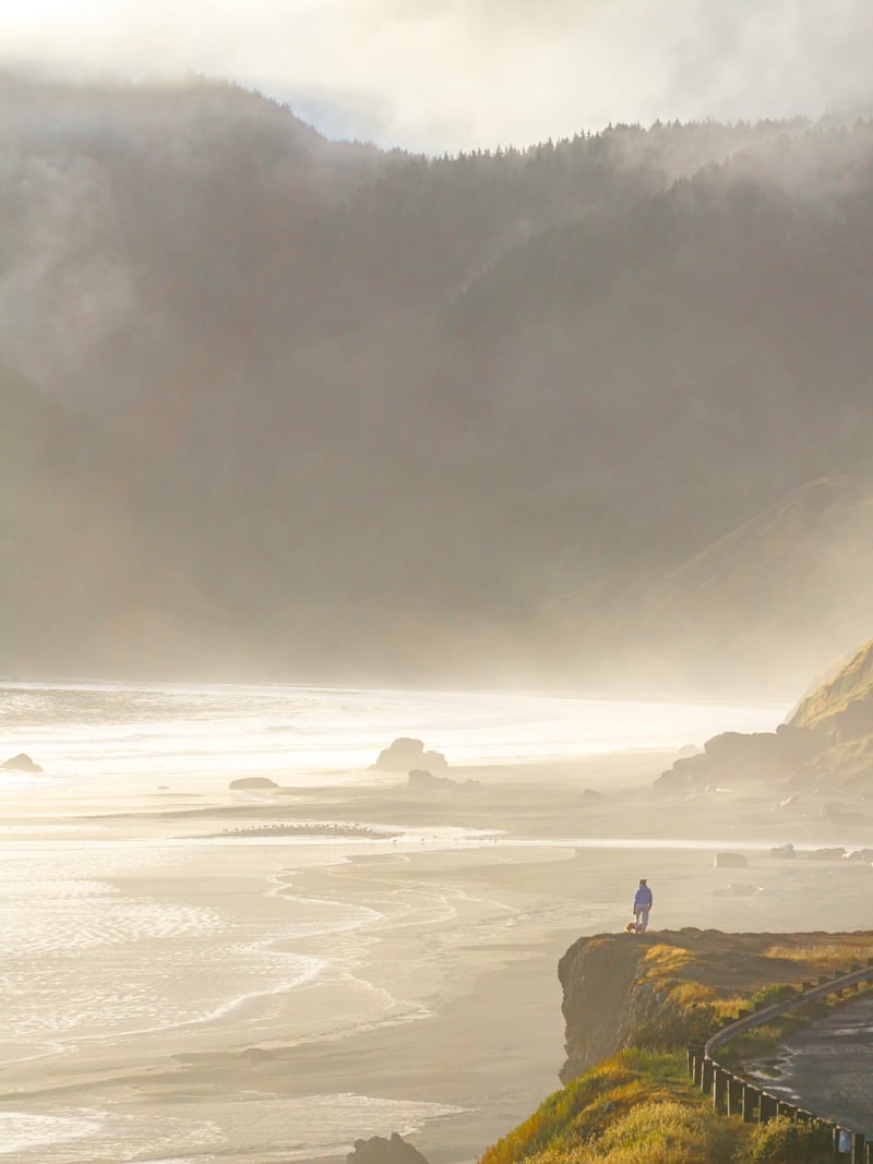 Hiker standing on a grassy bluff above a misty beach and sea stacks in golden evening light on the southern Oregon coast
