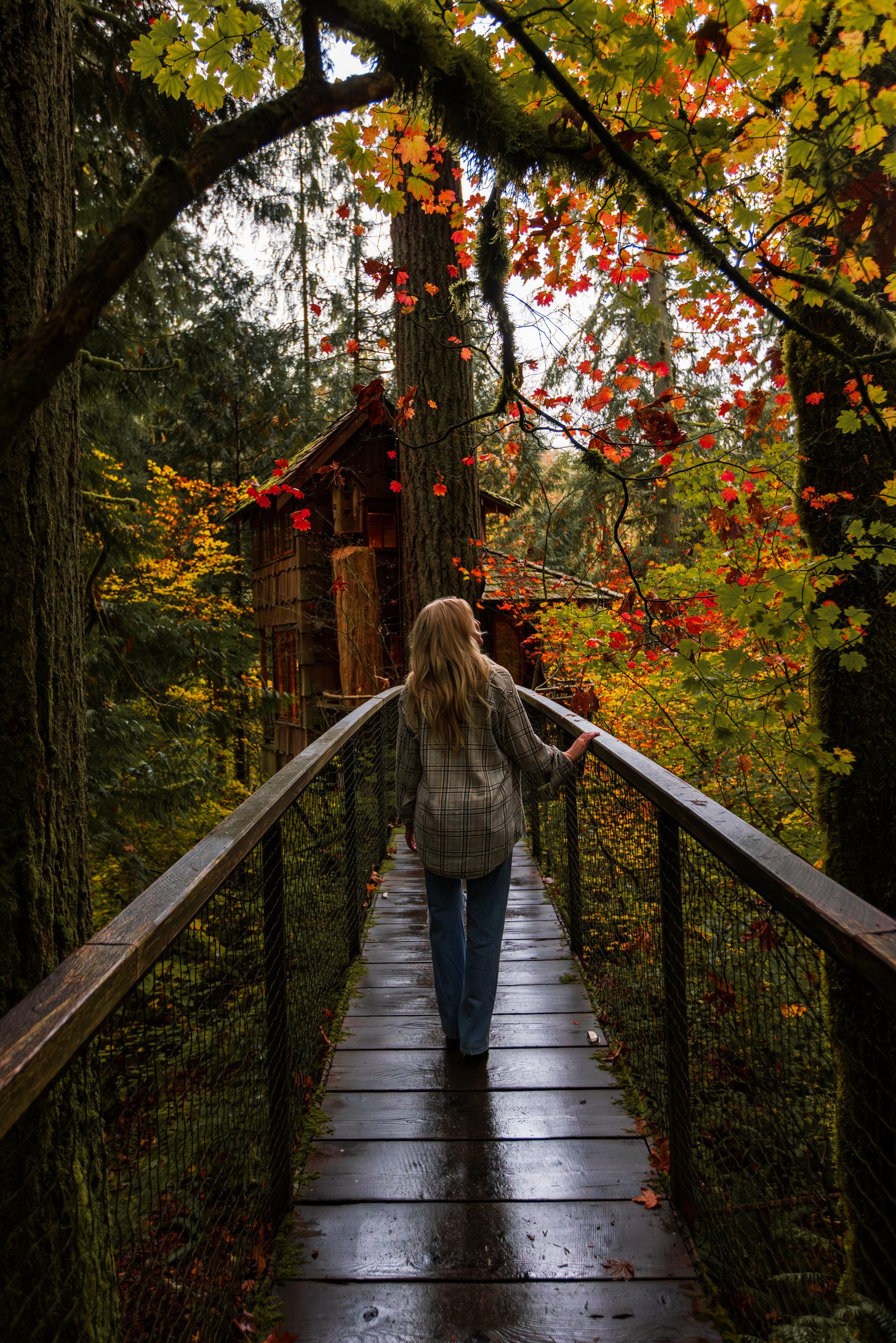 Guest walking a wooden bridge through fall foliage toward a treehouse at TreeHouse Point