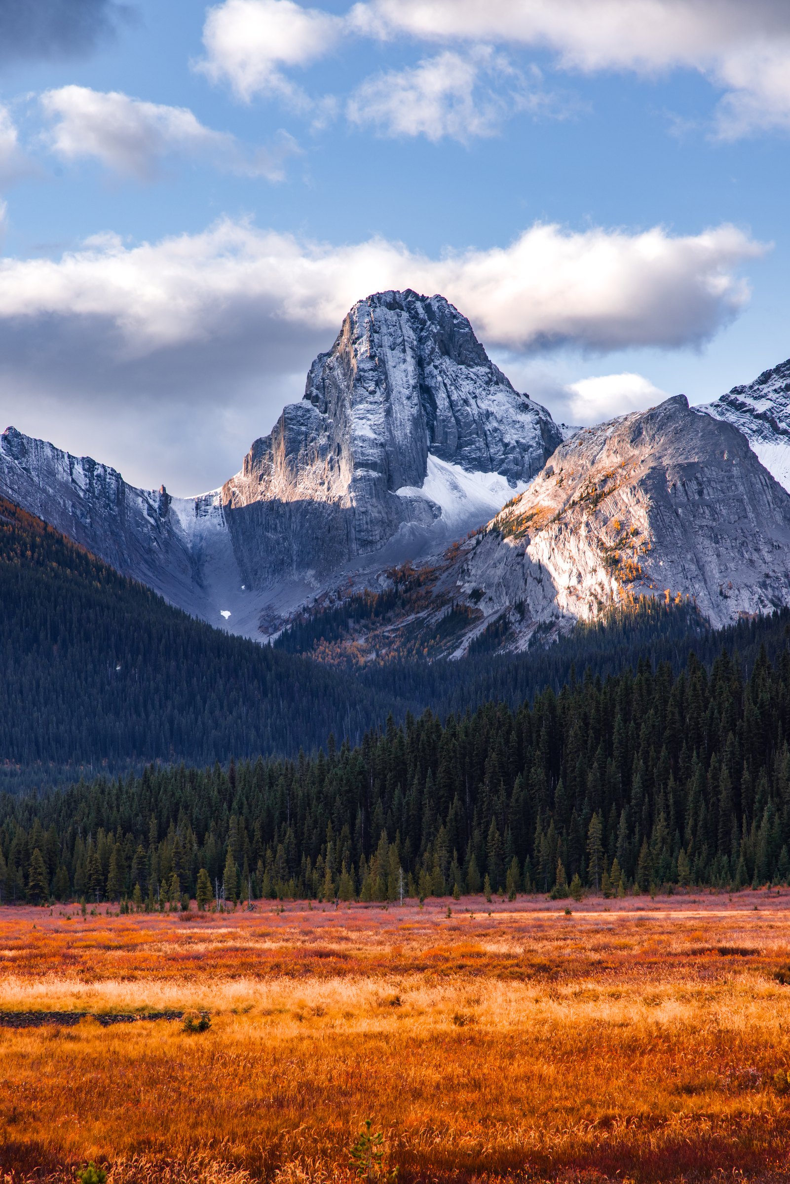 Golden meadow below a rocky peak and evergreen forest in fall